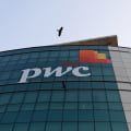 What is the Largest Advertising Holding Company?