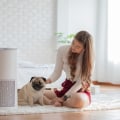 Best Furnace Air Filters for Cleaner and Healthier Air